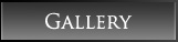 Nosferion-Gallery
