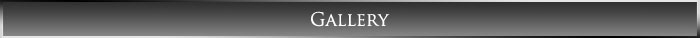 Nosferion-Gallery