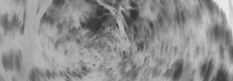headerbackground